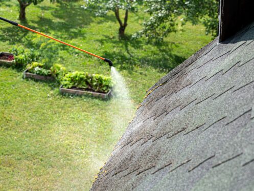 Roof Maintenance in Columbus, NC