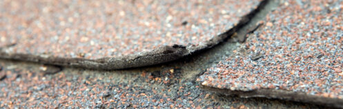 Weathered and Damaged House Shingle in Columbus, NC