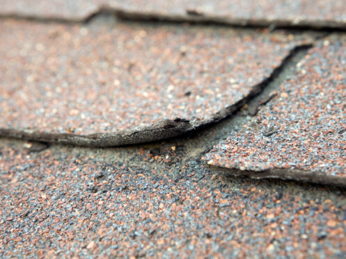 Weathered and Damaged House Shingle in Columbus, NC